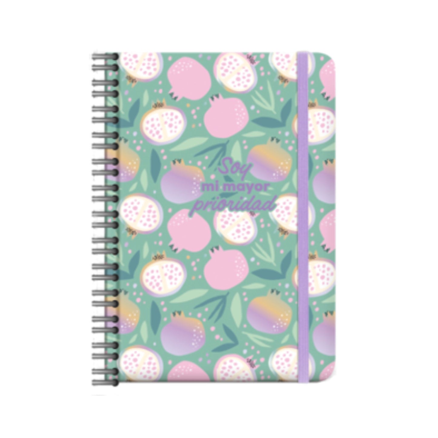 CUADERNO DE NOTAS ANILLADA C/LINEAS HOL FRESH