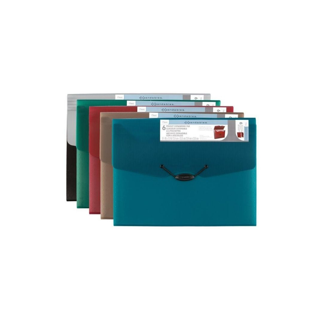 FOLDERS ACORDEON PLASTICO 6DIV.9-1/4X13 SURTIDO