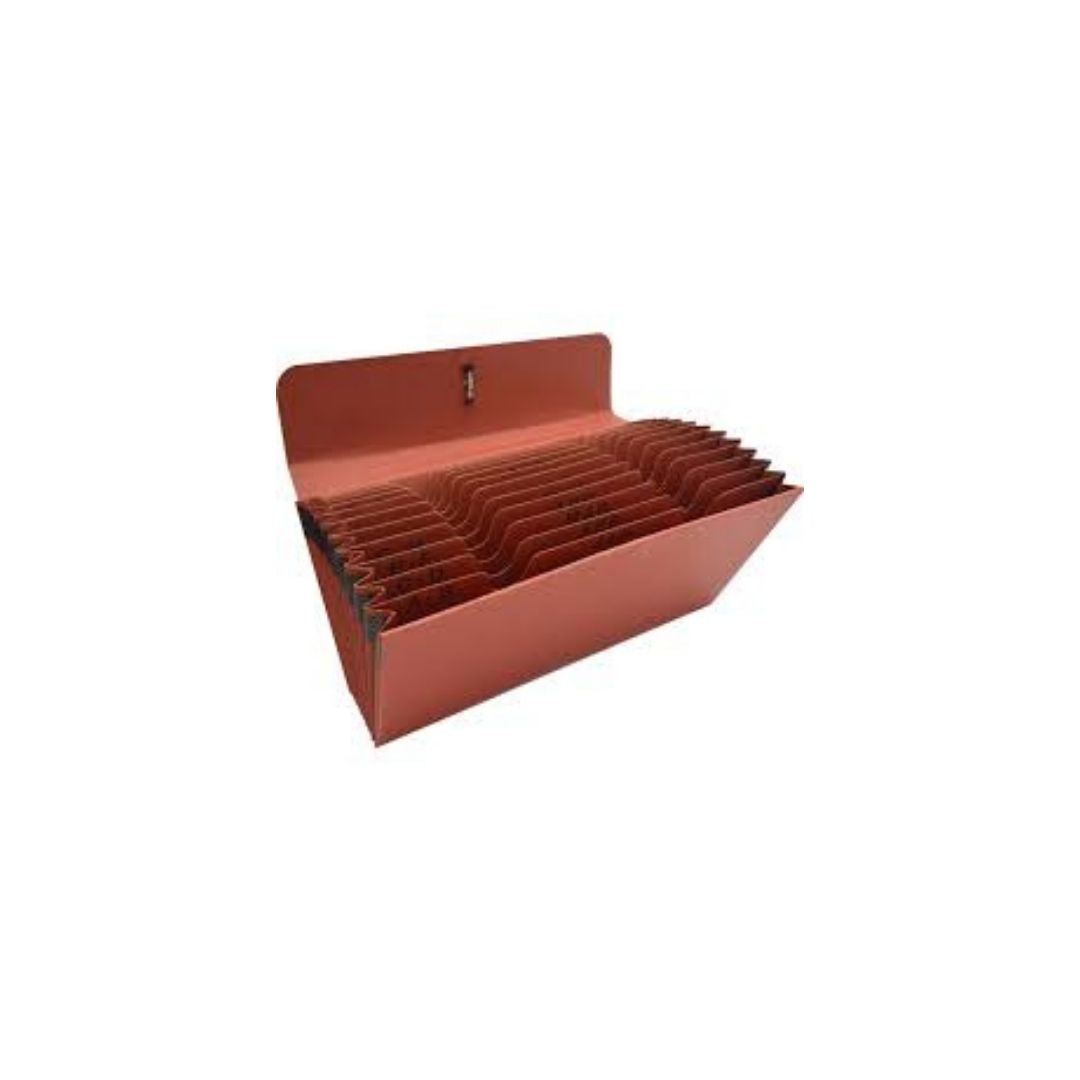 FOLDERS ACORDEON (10 x 12) 21 DIV. EAGLE