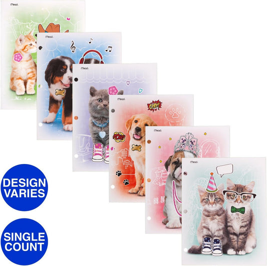 FOLDERS C/BOLSILLO P/CARPETAS