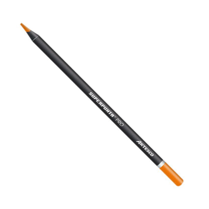 JUEGO DE LAPICES DE COLORES PRO 24/1