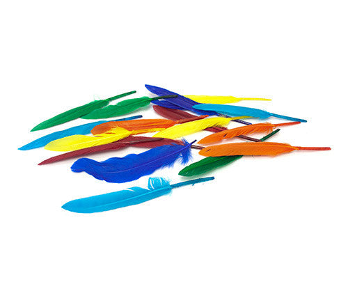 PLUMAS P/MANUALIDADES COLOR SURT BL