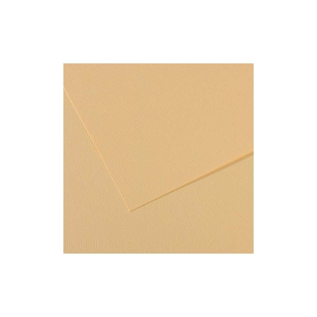 PAPEL MI-TEINTES (50 X 65 cm)LIQUEN