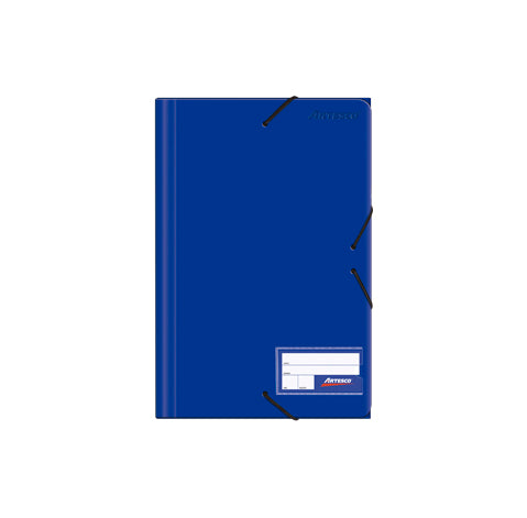 FOLDERS PLASTICO C/ELASTICO AZUL (8.5 X 11)