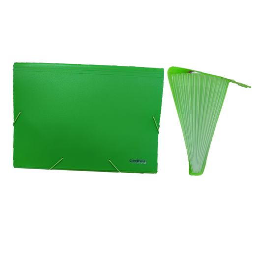 FOLDERS ACORDEON PLASTICO (10X12) 13Div. C/ELASTICO VERDE